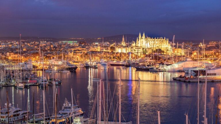 Seu Palma de noche