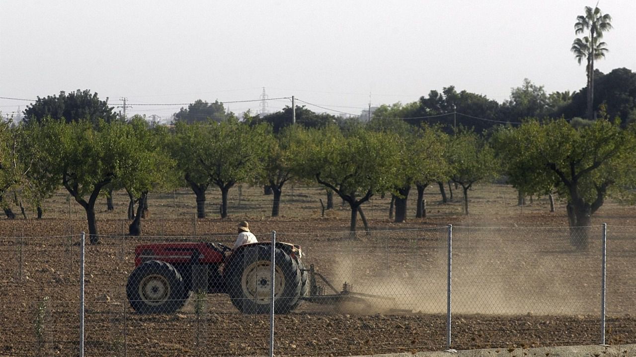 agricultura