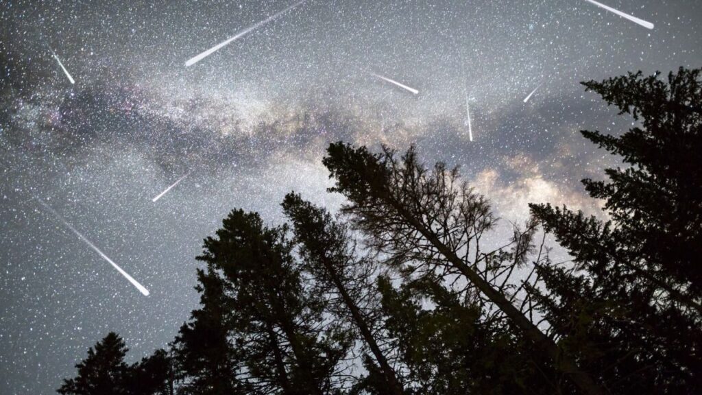 perseidas