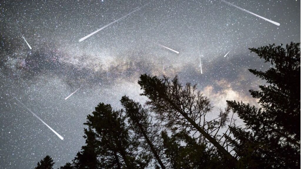 perseidas