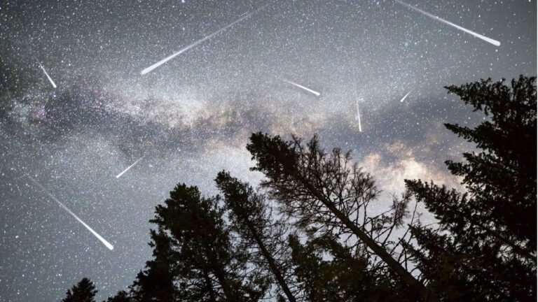 perseidas