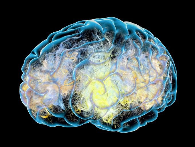 Dopamina cerebro