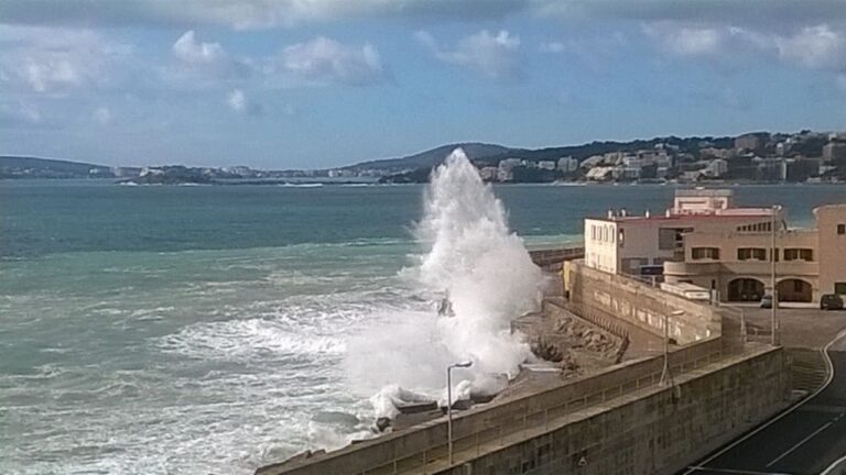 temporal oleaje puerto Palma