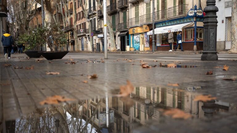 Lluvia sobre Palma