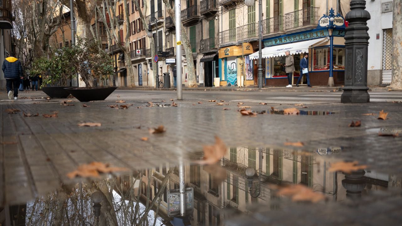 Lluvia sobre Palma