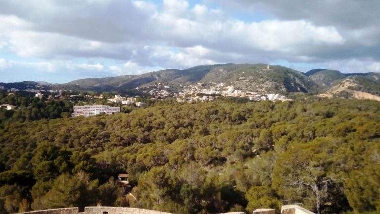 Investigan el hallazgo del cadáver de un hombre en el bosque de Bellver