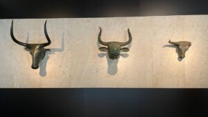 caps de bou de Costitx