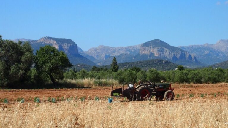 agricultura ecologica