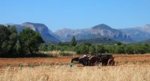 agricultura ecologica