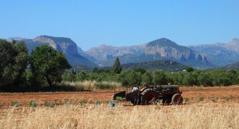 agricultura ecologica