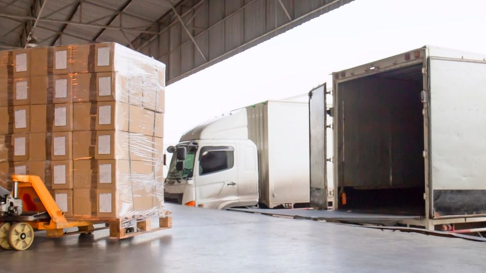 camiones distribución