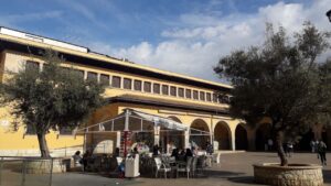 plaza mercado olivar tiempo