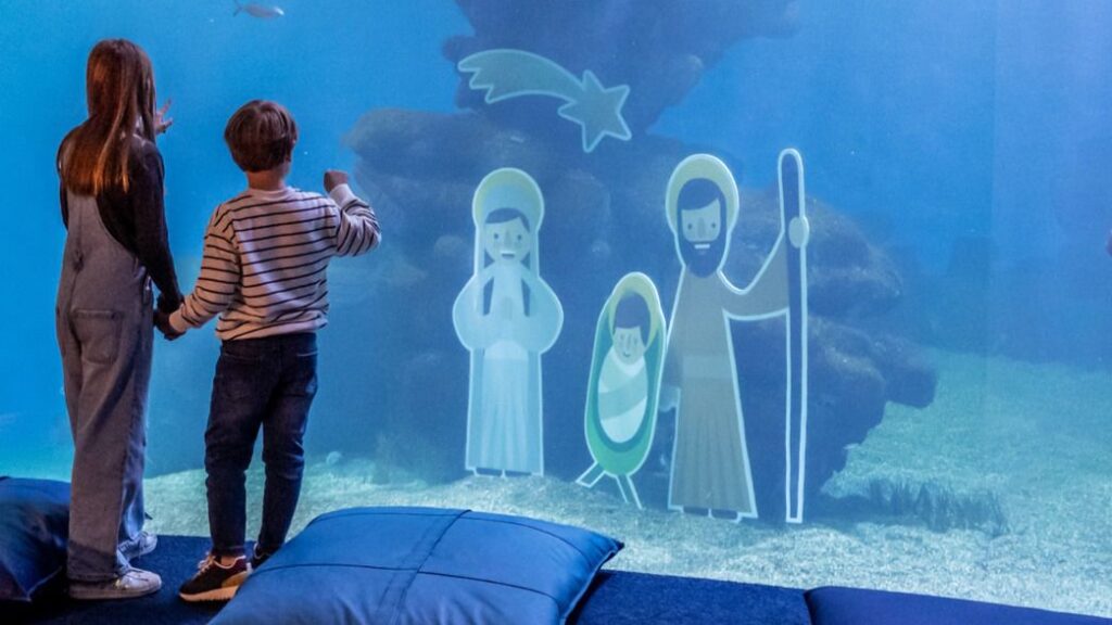 Palma Aquarium