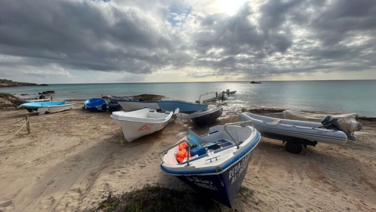 pateras formentera