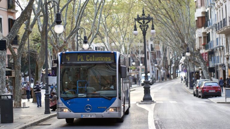 autobus palma emt