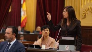 Manuela Ca&ntilde;adas Parlament