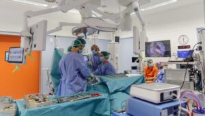 Quir&oacute;fano de Son Espases