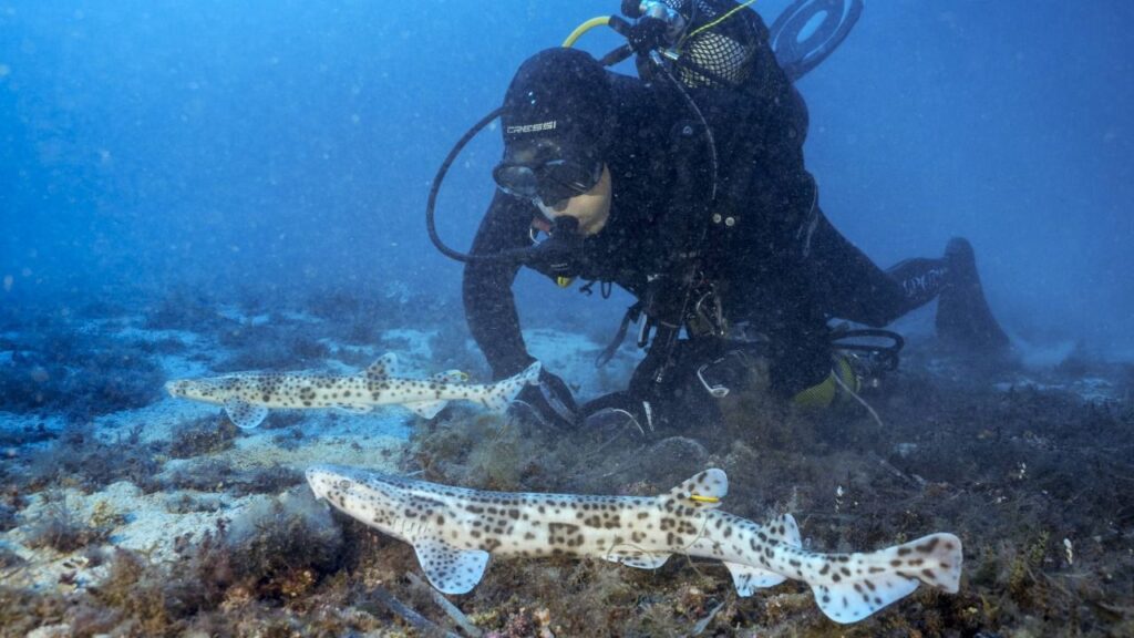 Foto: Palma Aquarium