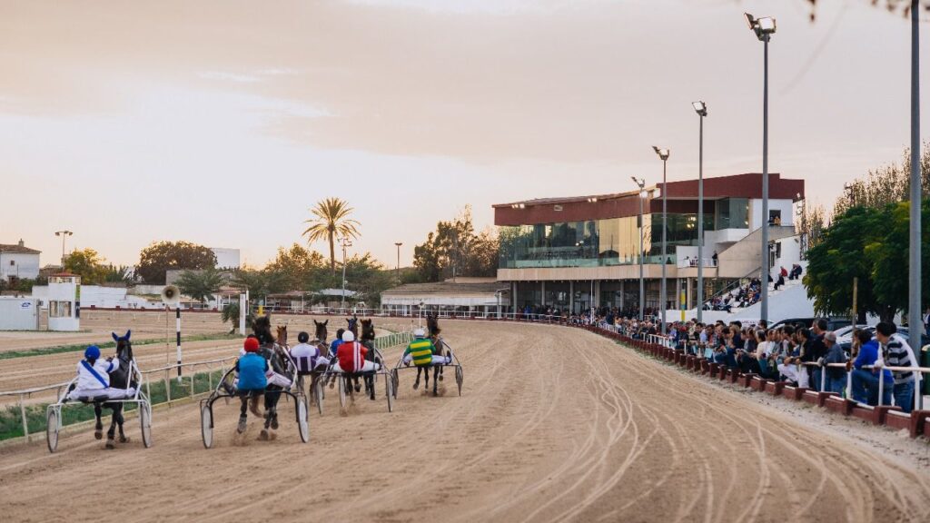 hipódromo, carreras caballos, trot