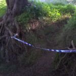 Torrent de Coanegra, en Marratx&iacute;.