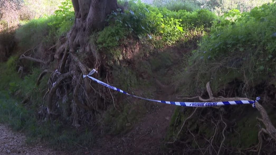 Torrent de Coanegra, en Marratx&iacute;.