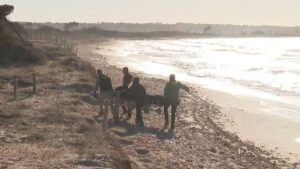 Cad&aacute;veres Formentera