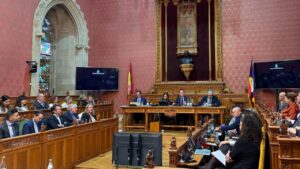 Pleno del Consell de Mallorca.