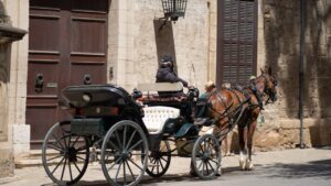 Calesa al sol