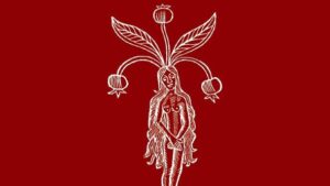 Imagen de los premios para la edici&oacute;n de este 2025.