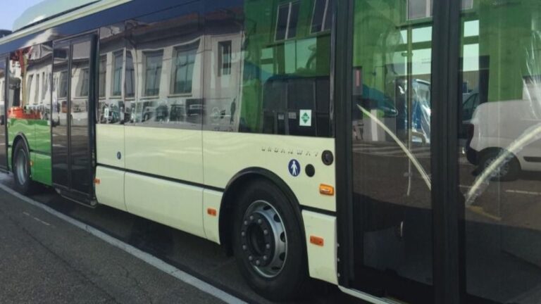 autobus palma emt