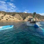 Llegan 25 migrantes en patera a Baleares