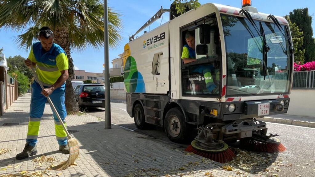emaya limpieza palma
