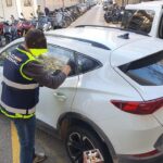 www.mallorcadiario.com fotos 1 485608 policia nacional