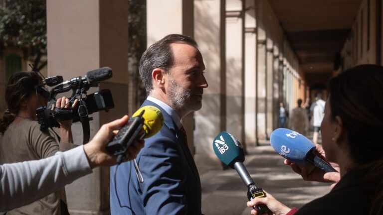 www.mallorcadiario.com fotos 1 485610 dimision portavoces de vox 142