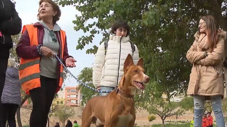 www.mallorcadiario.com fotos 1 485760 perros son reus