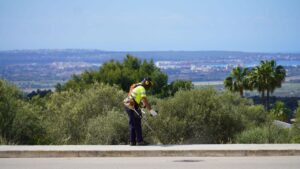www.mallorcadiario.com fotos 1 485795 limpieza espacios naturales marratxi