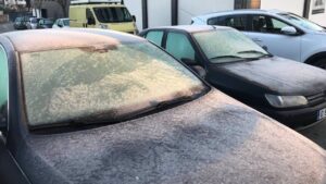 Coches helados en Mallorca esta madrugada.