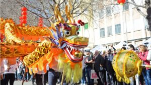 A&ntilde;o chino Pere Garau