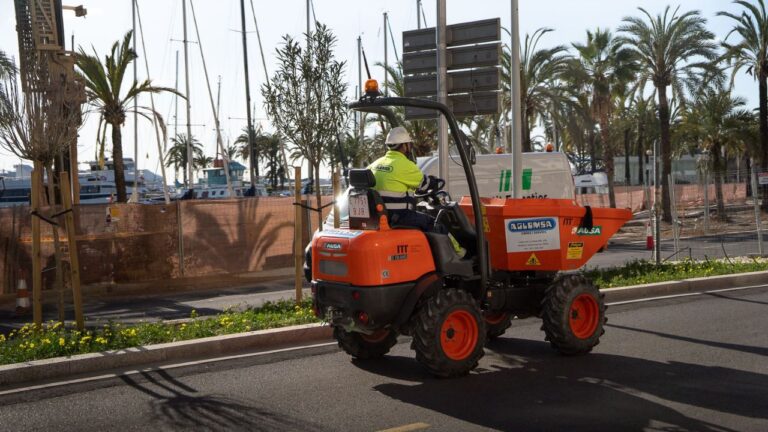 Operarios en la obra de reforma integral del Paseo Marítimo de Palma.