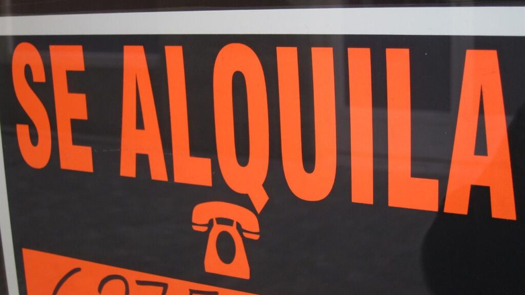 www.mallorcadiario.com fotos 1 486175 sealquila