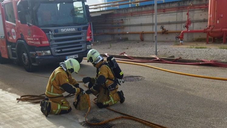 www.mallorcadiario.com fotos 1 486271 endesa simulacro