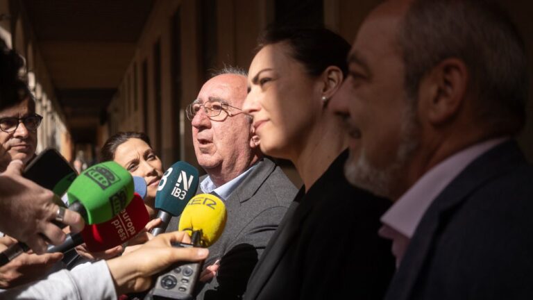 www.mallorcadiario.com fotos 1 486479 dimision portavoces de vox 79