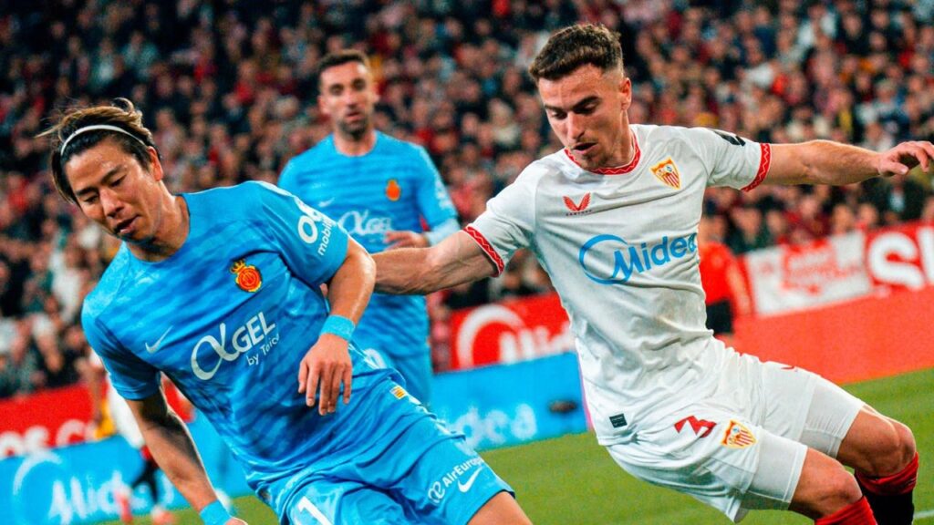 www.mallorcadiario.com fotos 1 486564 asano mallorca 2025