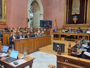 pleno consell mallorca