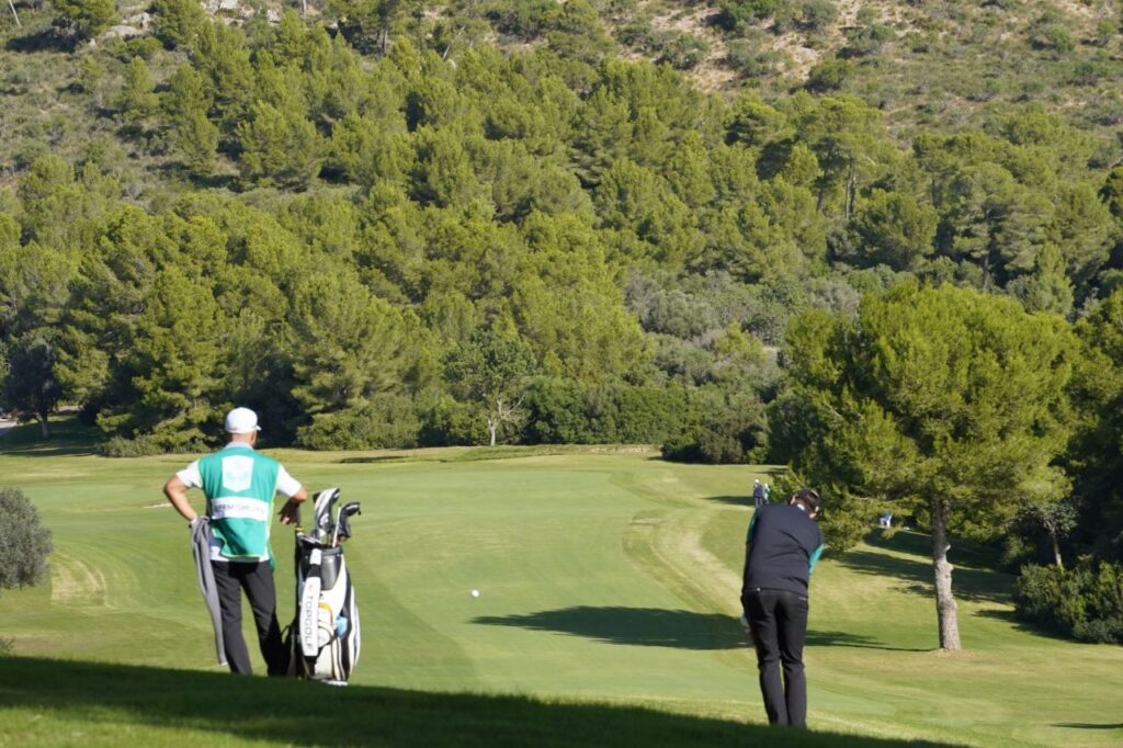 Imagen de galería 1170