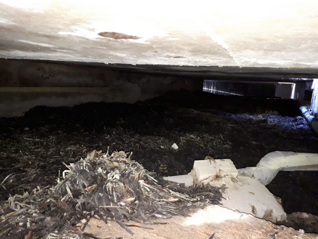 Imagen de galería 480