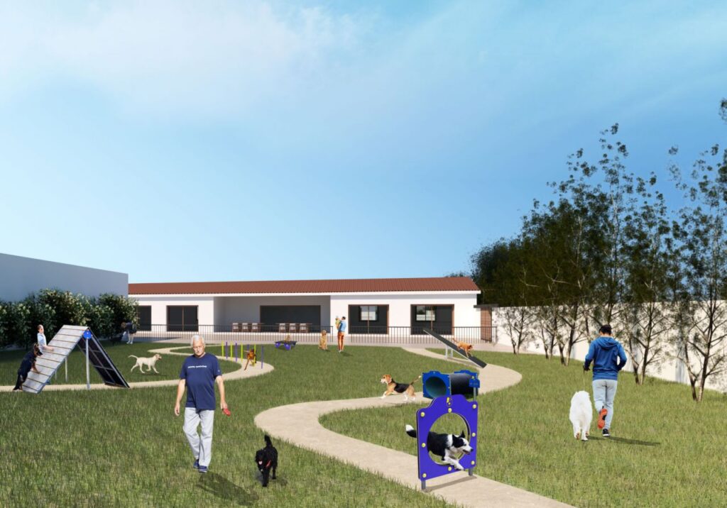 Imagen de galer&iacute;a 533