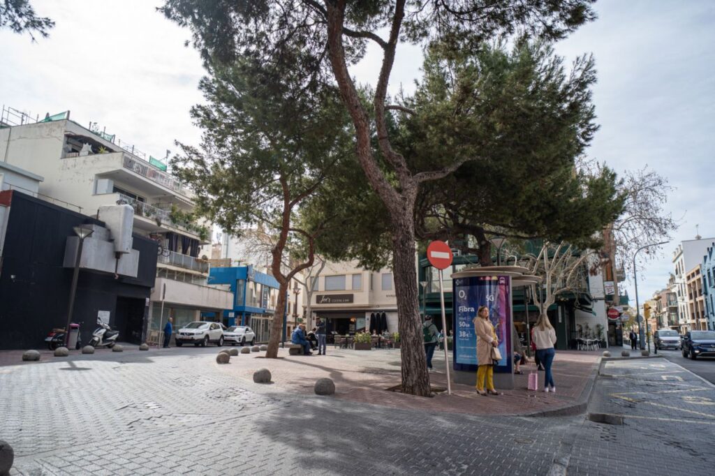 Imagen de galer&iacute;a 1332