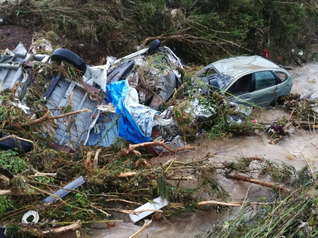 Imagen de galer&iacute;a 351