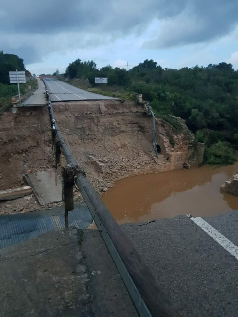 Imagen de galer&iacute;a 351